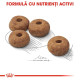 Royal Canin Medium Sterilised Adult – Hrană Uscată pentru Câini Adulți Sterilizați de Talie Medie – 12 kg